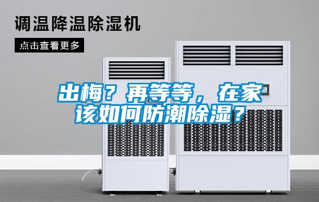 出梅？再等等，在家該如何防潮除濕？