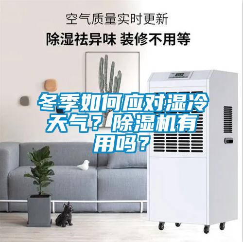 冬季如何應(yīng)對(duì)濕冷天氣？除濕機(jī)有用嗎？