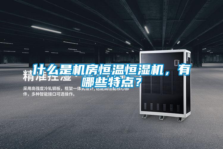 什么是機(jī)房恒溫恒濕機(jī)，有哪些特點(diǎn)？