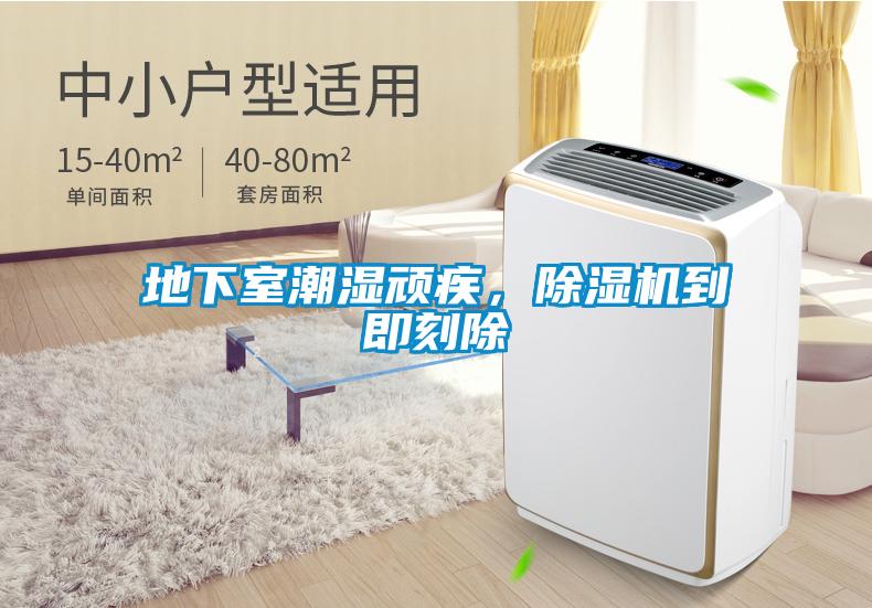 地下室潮濕頑疾，除濕機(jī)到即刻除