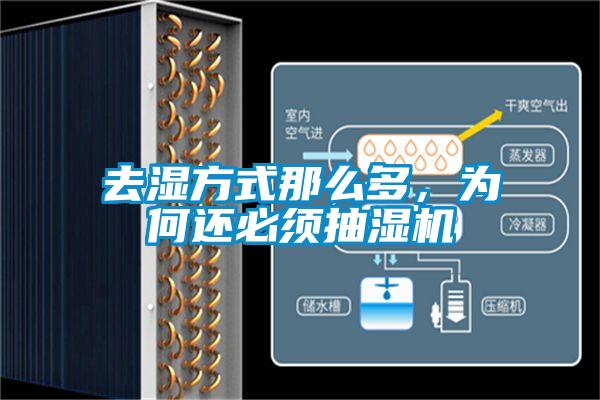 去濕方式那么多，為何還必須抽濕機(jī)