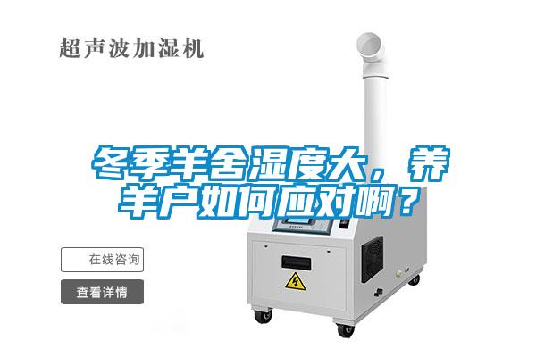冬季羊舍濕度大，養(yǎng)羊戶如何應(yīng)對(duì)?。?/></p>
						    <p style=
