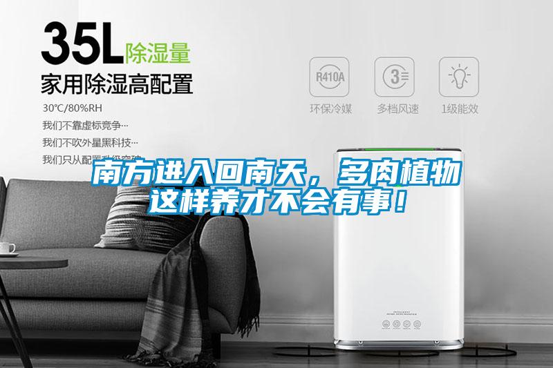 南方進入回南天，多肉植物這樣養(yǎng)才不會有事！