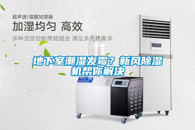 地下室潮濕發(fā)霉？新風(fēng)除濕機幫你解決