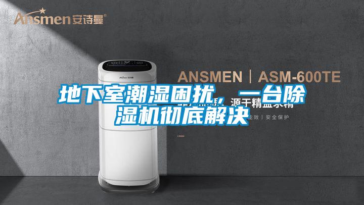 地下室潮濕困擾，一臺(tái)除濕機(jī)徹底解決