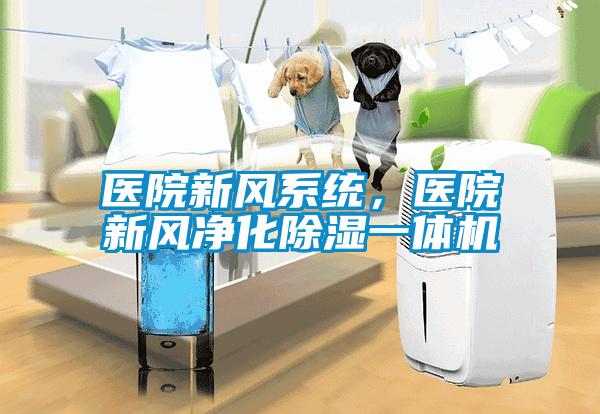 醫(yī)院新風系統(tǒng)，醫(yī)院新風凈化除濕一體機