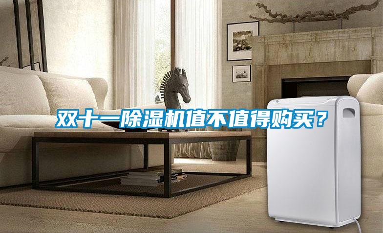 雙十一除濕機(jī)值不值得購(gòu)買？