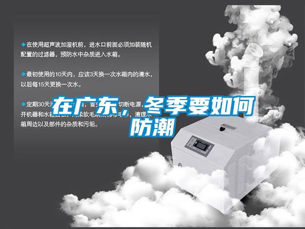 在廣東，冬季要如何防潮