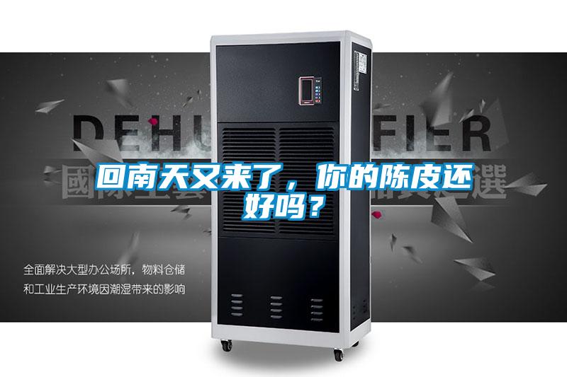 回南天又來了，你的陳皮還好嗎？