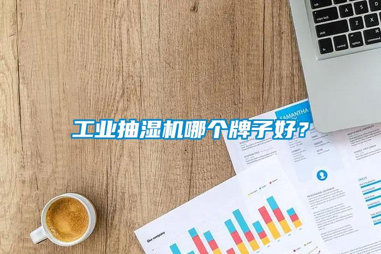 工業(yè)抽濕機(jī)哪個(gè)牌子好？