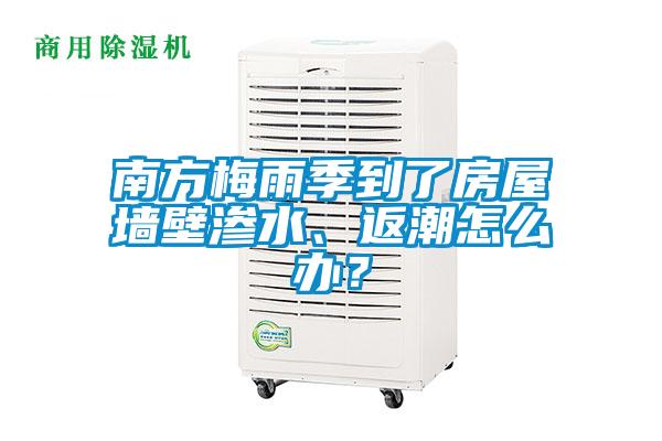 南方梅雨季到了房屋墻壁滲水、返潮怎么辦？