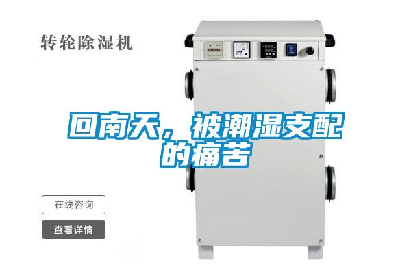 回南天，被潮濕支配的痛苦