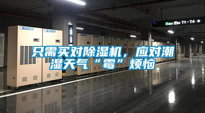 只需買對(duì)除濕機(jī)，應(yīng)對(duì)潮濕天氣“霉”煩惱