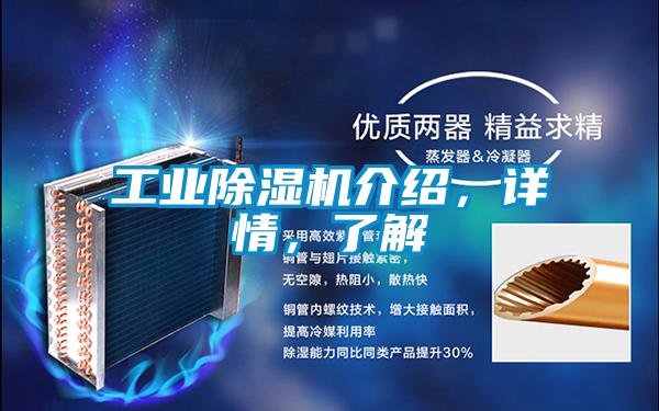 工業(yè)除濕機(jī)介紹，詳情，了解