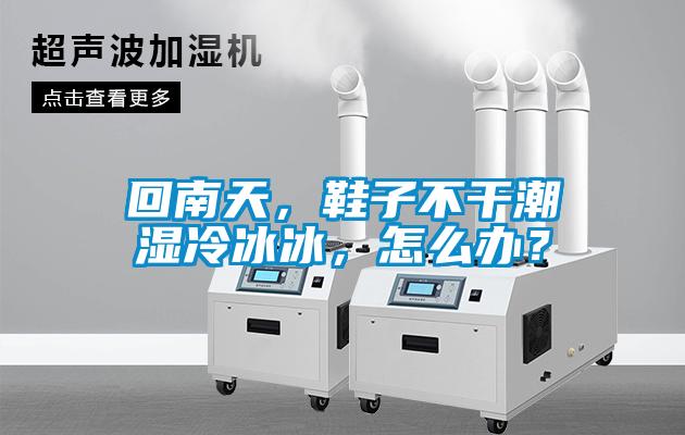回南天，鞋子不干潮濕冷冰冰，怎么辦？