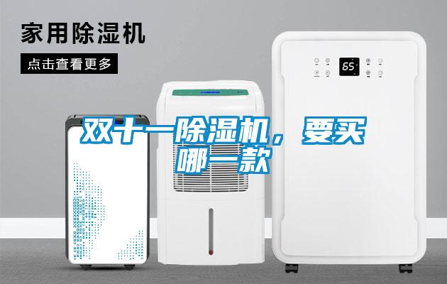 雙十一除濕機(jī)，要買哪一款