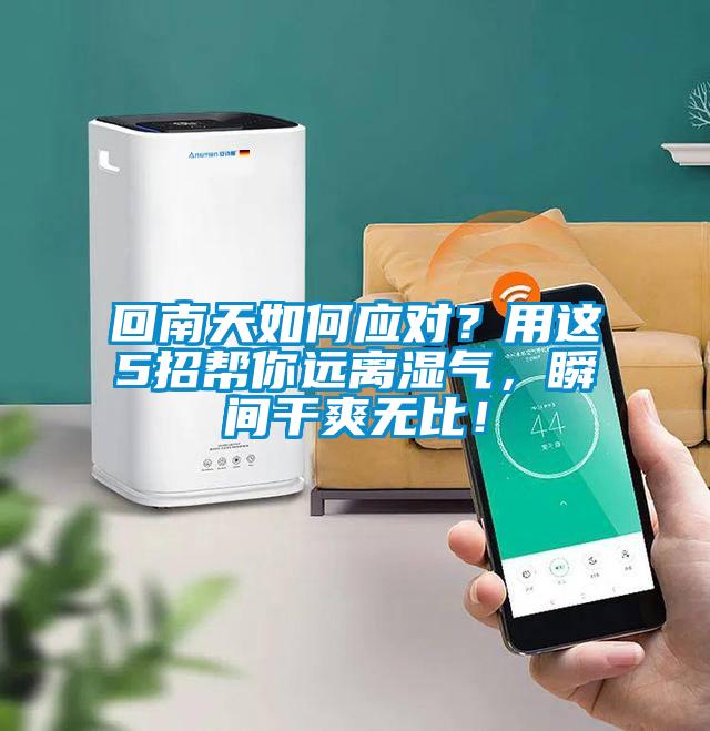 回南天如何應(yīng)對？用這5招幫你遠(yuǎn)離濕氣，瞬間干爽無比！