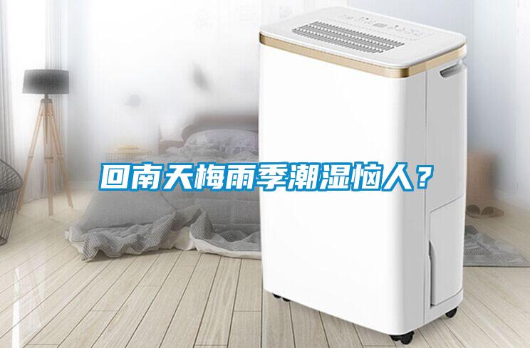 回南天梅雨季潮濕惱人？