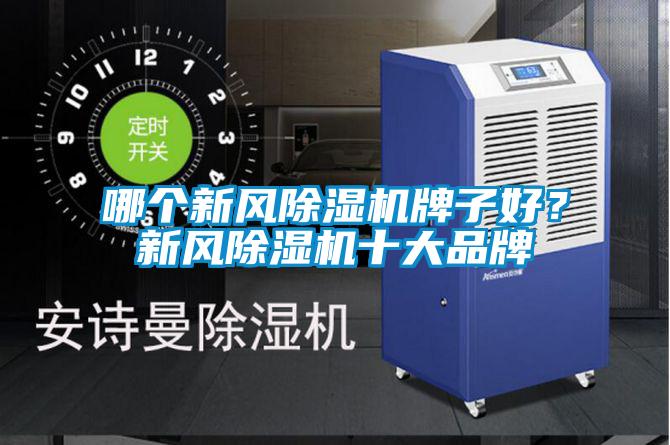 哪個(gè)新風(fēng)除濕機(jī)牌子好？新風(fēng)除濕機(jī)十大品牌