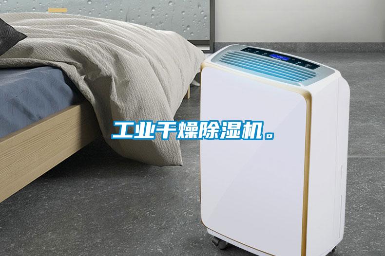 工業(yè)干燥除濕機(jī)。
