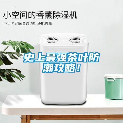 史上最強茶葉防潮攻略！