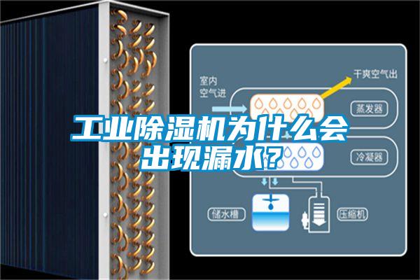 工業(yè)除濕機(jī)為什么會(huì)出現(xiàn)漏水？