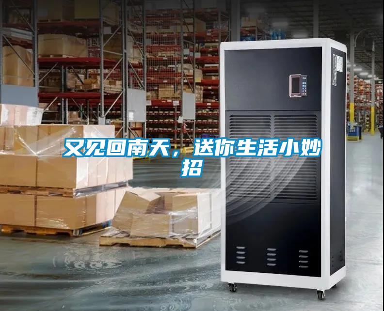 又見回南天，送你生活小妙招