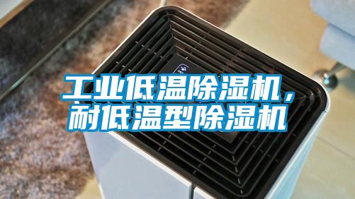 工業(yè)低溫除濕機(jī)，耐低溫型除濕機(jī)