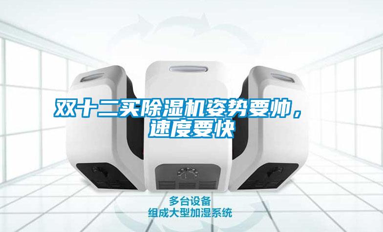 雙十二買除濕機(jī)姿勢要帥， 速度要快