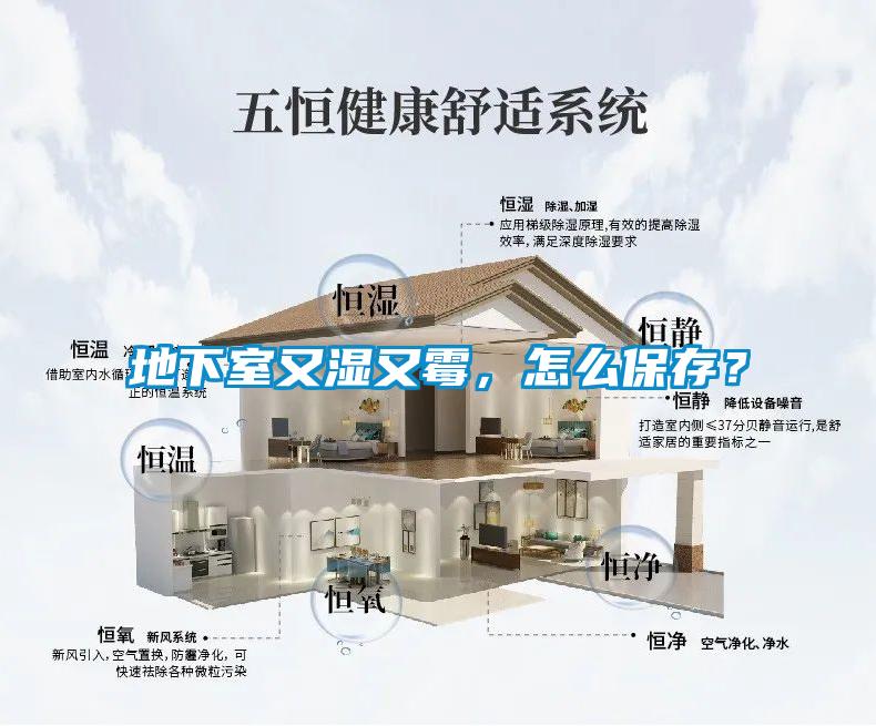地下室又濕又霉，怎么保存？