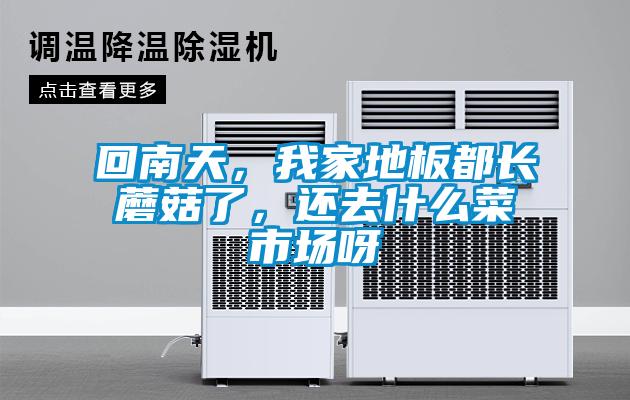 回南天，我家地板都長(zhǎng)蘑菇了，還去什么菜市場(chǎng)呀