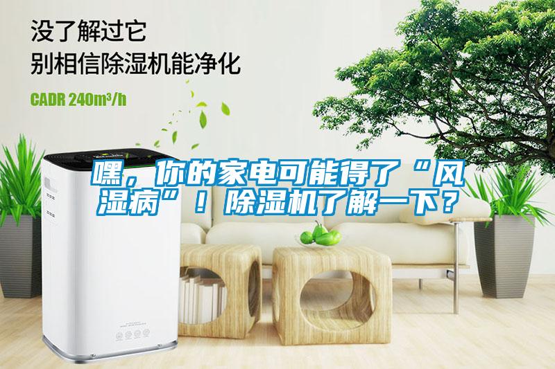 嘿，你的家電可能得了“風濕病”！除濕機了解一下？