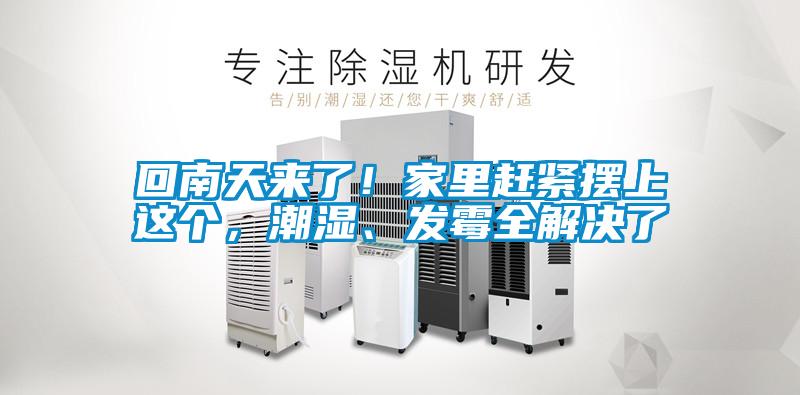 回南天來了！家里趕緊擺上這個(gè)，潮濕、發(fā)霉全解決了