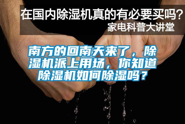 南方的回南天來了，除濕機(jī)派上用場，你知道除濕機(jī)如何除濕嗎？
