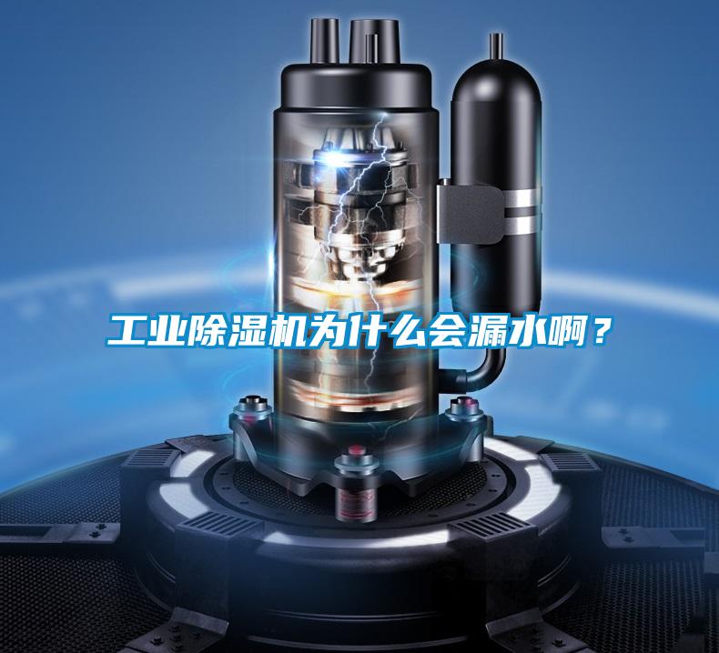 工業(yè)除濕機為什么會漏水??？