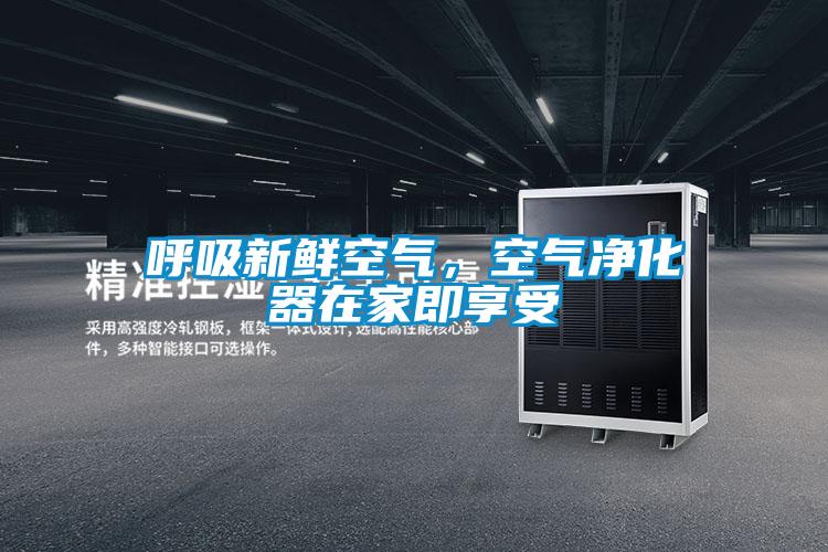 呼吸新鮮空氣，空氣凈化器在家即享受