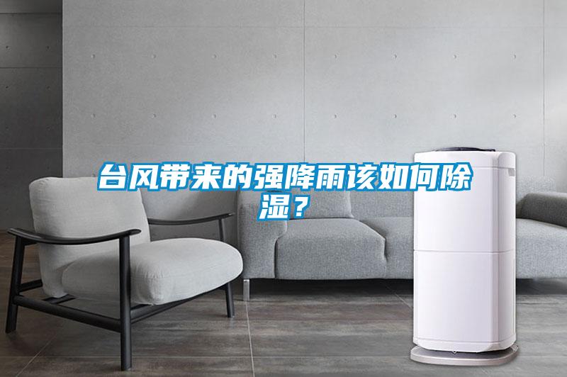 臺(tái)風(fēng)帶來的強(qiáng)降雨該如何除濕？