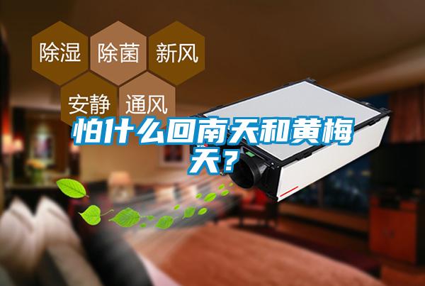怕什么回南天和黃梅天？