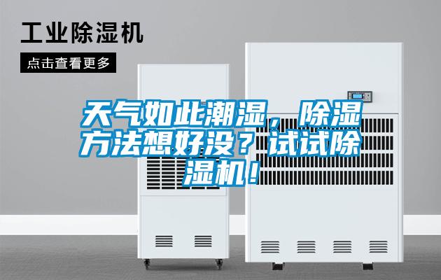 天氣如此潮濕，除濕方法想好沒？試試除濕機(jī)！