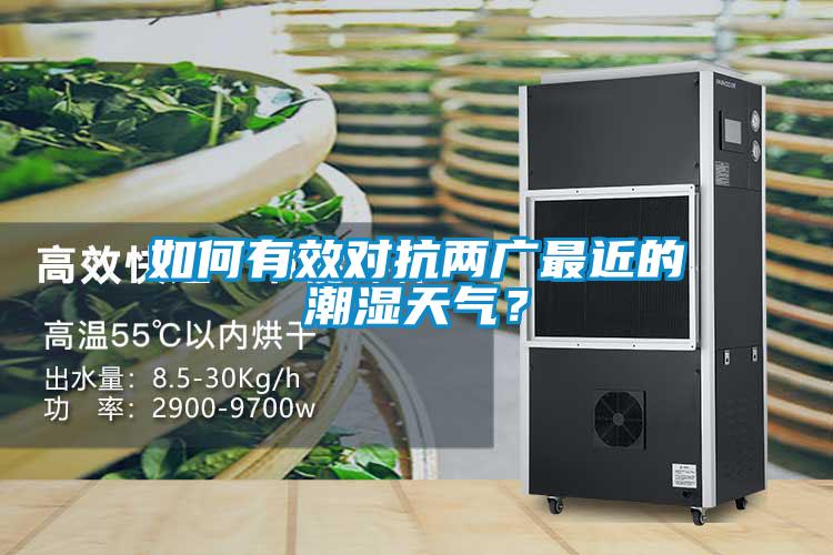 如何有效對(duì)抗兩廣最近的潮濕天氣？
