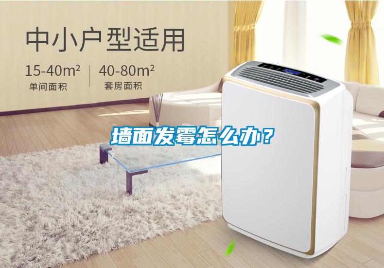 墻面發(fā)霉怎么辦？