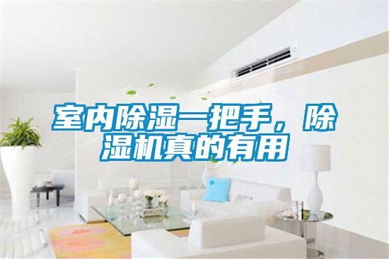 室內(nèi)除濕一把手，除濕機真的有用