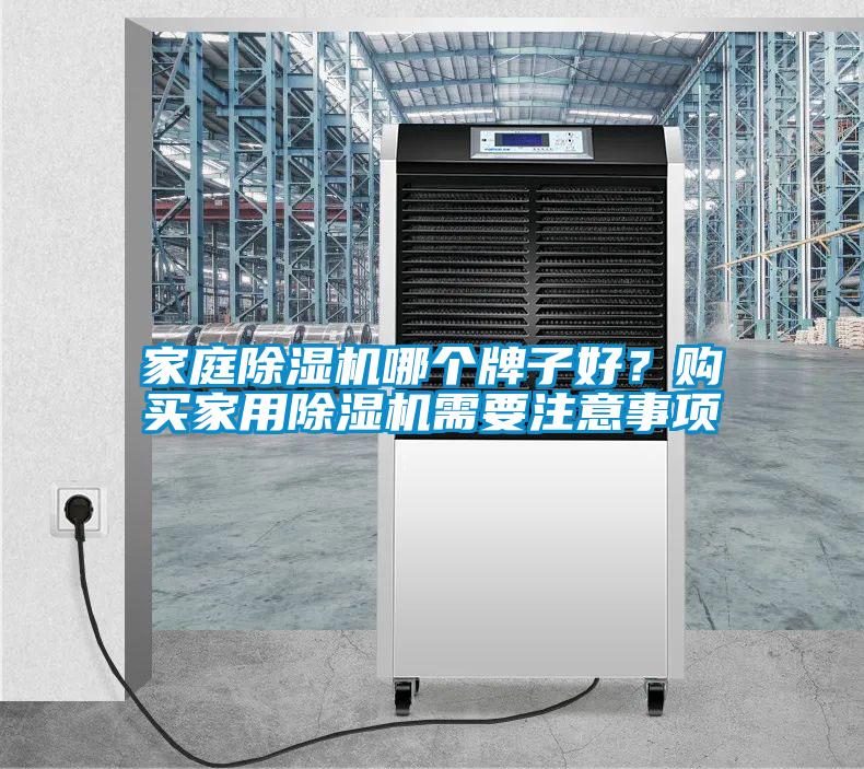 家庭除濕機哪個牌子好？購買家用除濕機需要注意事項