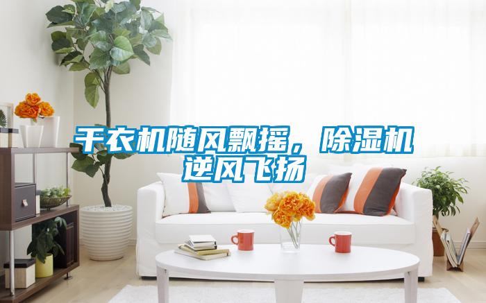 干衣機隨風飄搖，除濕機逆風飛揚