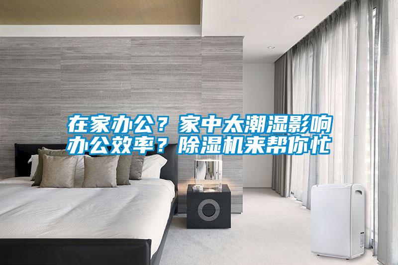 在家辦公？家中太潮濕影響辦公效率？除濕機(jī)來(lái)幫你忙