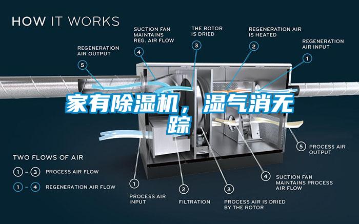 家有除濕機(jī)，濕氣消無蹤