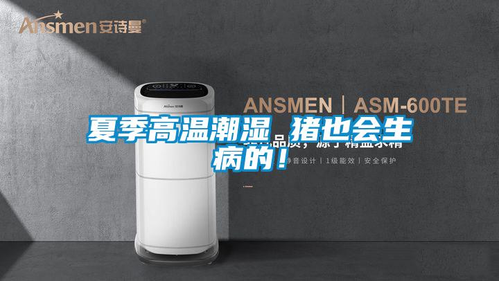 夏季高溫潮濕 豬也會(huì)生病的！