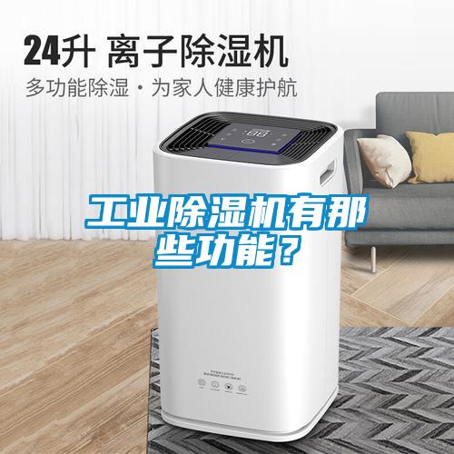 工業(yè)除濕機有那些功能？