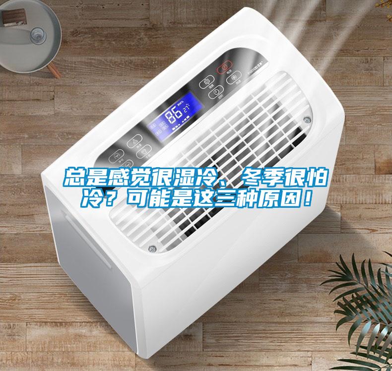總是感覺很濕冷、冬季很怕冷？可能是這三種原因！