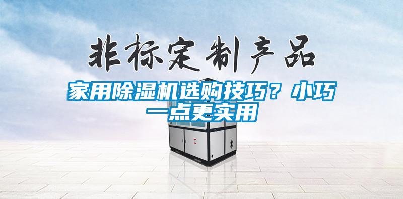 家用除濕機(jī)選購(gòu)技巧？小巧一點(diǎn)更實(shí)用